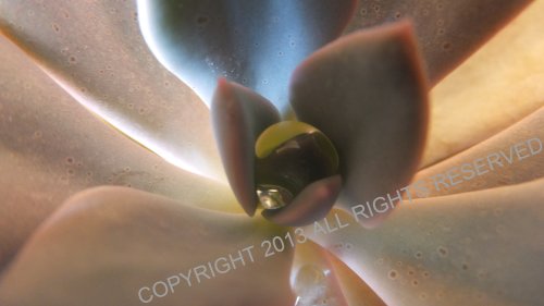 A of water is the essence of life.  Be a drop of water. ~K.J. Scrim