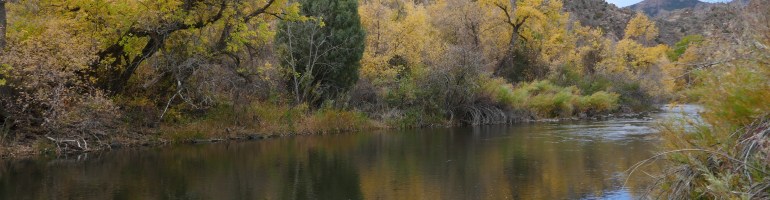 Waterton Canyon along the South Platte river